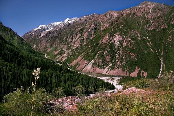 Ala Archa Trekking Rehberi 2026: Bişkek'ten 40 km'de Zirve