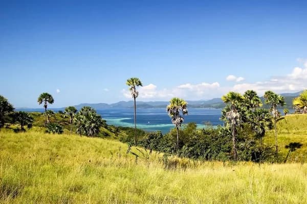 Bali Kitlesinden Kaç: Lombok, Komodo ve Flores Rehberi 2026