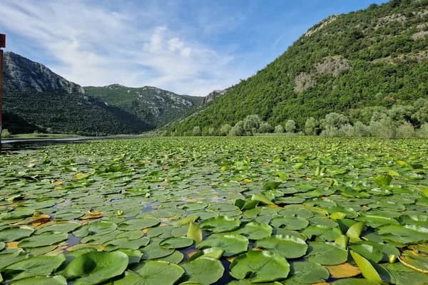 Skadar Gölü: Balkanların En Büyük Gölünde Huzur